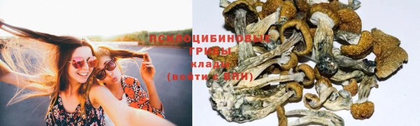 каннабис Осинники