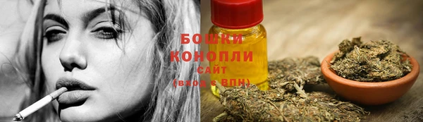 стафф Пестово