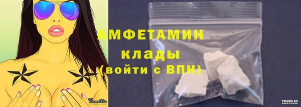 соль ск Пересвет