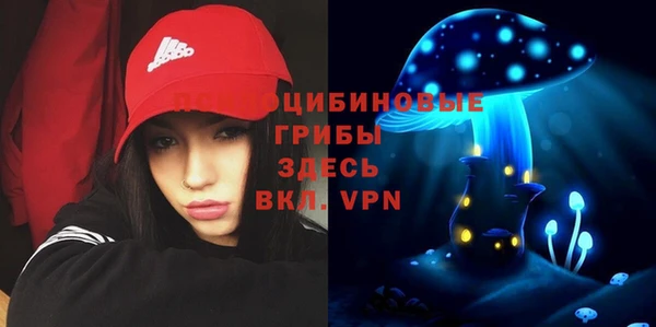 стафф Пестово