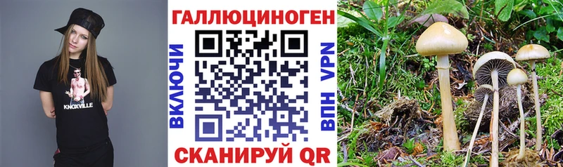 Псилоцибиновые грибы MAGIC MUSHROOMS  omg зеркало  Ирбит  купить закладку 