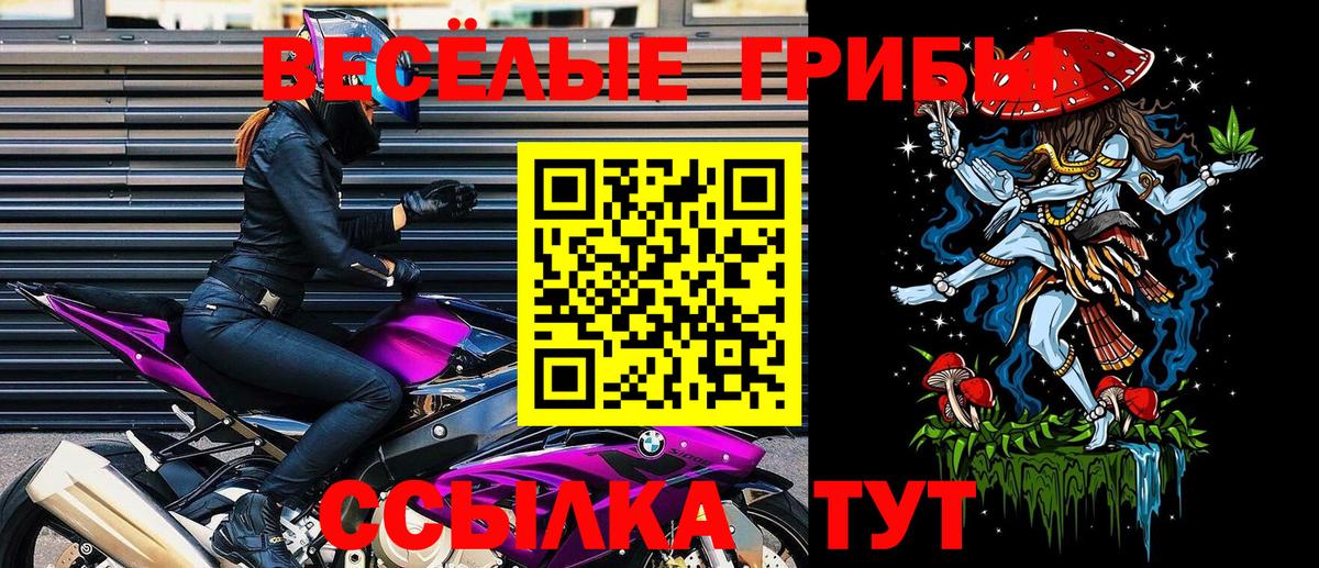 Ирбит  Галлюциногенные грибы GOLDEN TEACHER  Вход с VPN  Псилоцибиновые грибы Psilocybe 