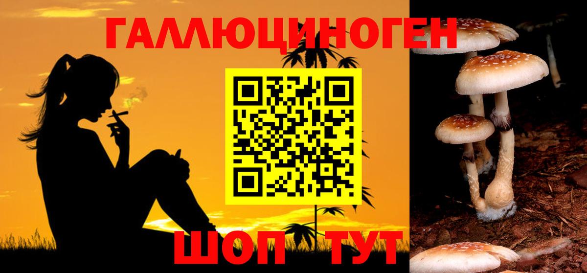 Псилоцибиновые грибы Cubensis Ирбит